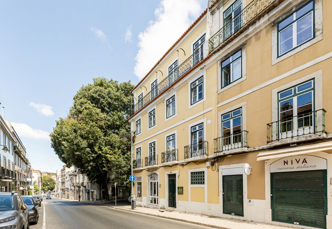 Estúdio em Lisboa - Janelas Verdes - Estúdio Single