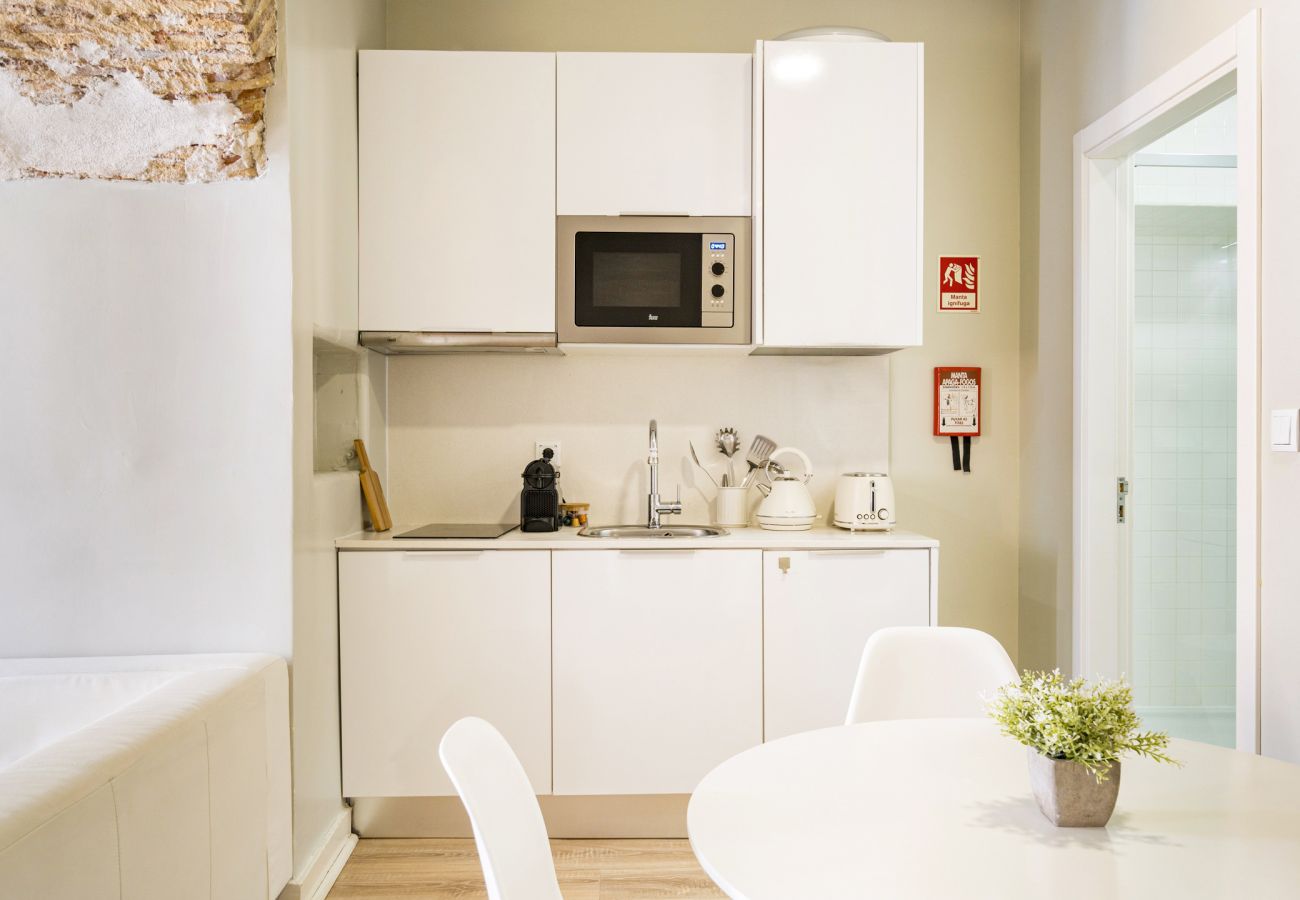 Kitchen, executive one bedroom apartment, accommodation Janelas Verdes, Lisbon