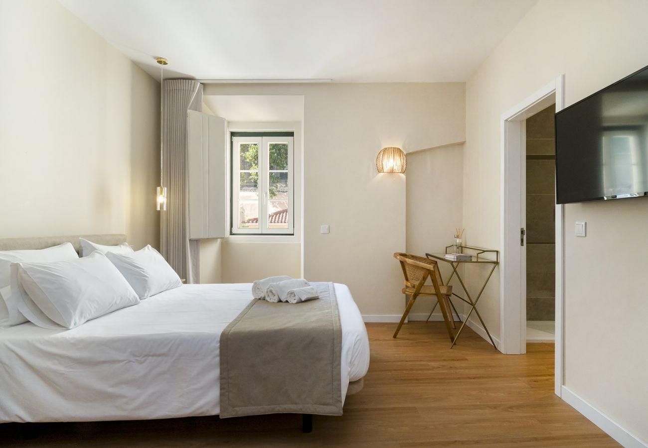 Apartment in Lisbon - Laranjeiras - 1 Bedroom Apartment Executive